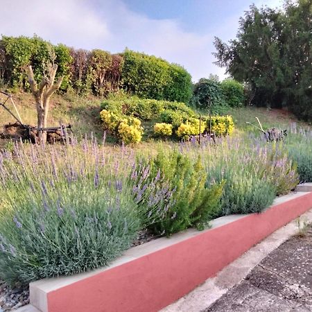 Casa Turistica Villa Carmen, Con Chimenea, Amplia Zona De Jardin, Barbacoa, Piscina Y Garaje Arenzana de Abajo Εξωτερικό φωτογραφία