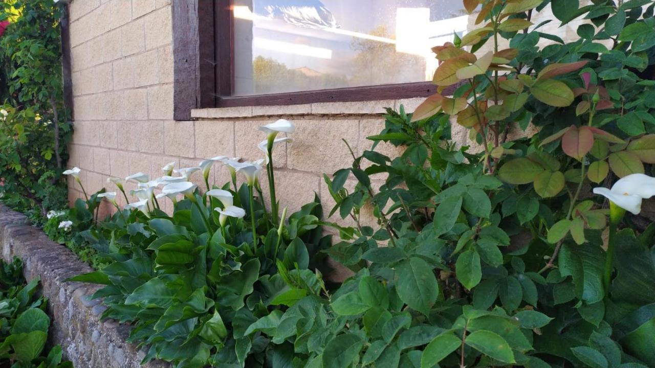 Casa Turistica Villa Carmen, Con Chimenea, Amplia Zona De Jardin, Barbacoa, Piscina Y Garaje Arenzana de Abajo Εξωτερικό φωτογραφία