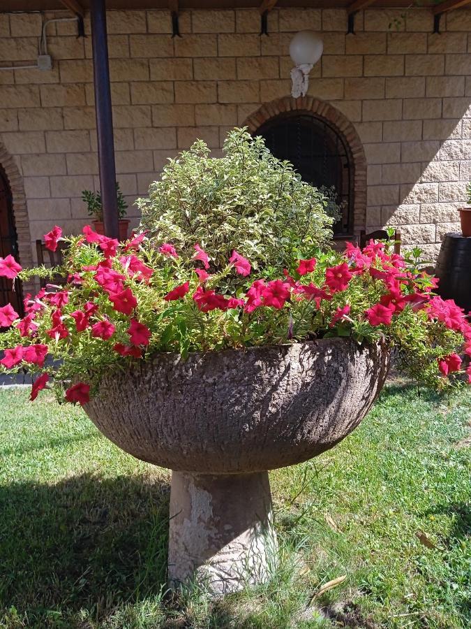 Casa Turistica Villa Carmen, Con Chimenea, Amplia Zona De Jardin, Barbacoa, Piscina Y Garaje Arenzana de Abajo Εξωτερικό φωτογραφία