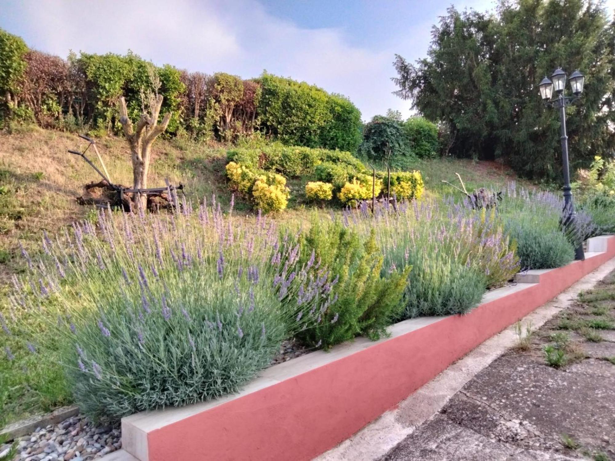 Casa Turistica Villa Carmen, Con Chimenea, Amplia Zona De Jardin, Barbacoa, Piscina Y Garaje Arenzana de Abajo Εξωτερικό φωτογραφία
